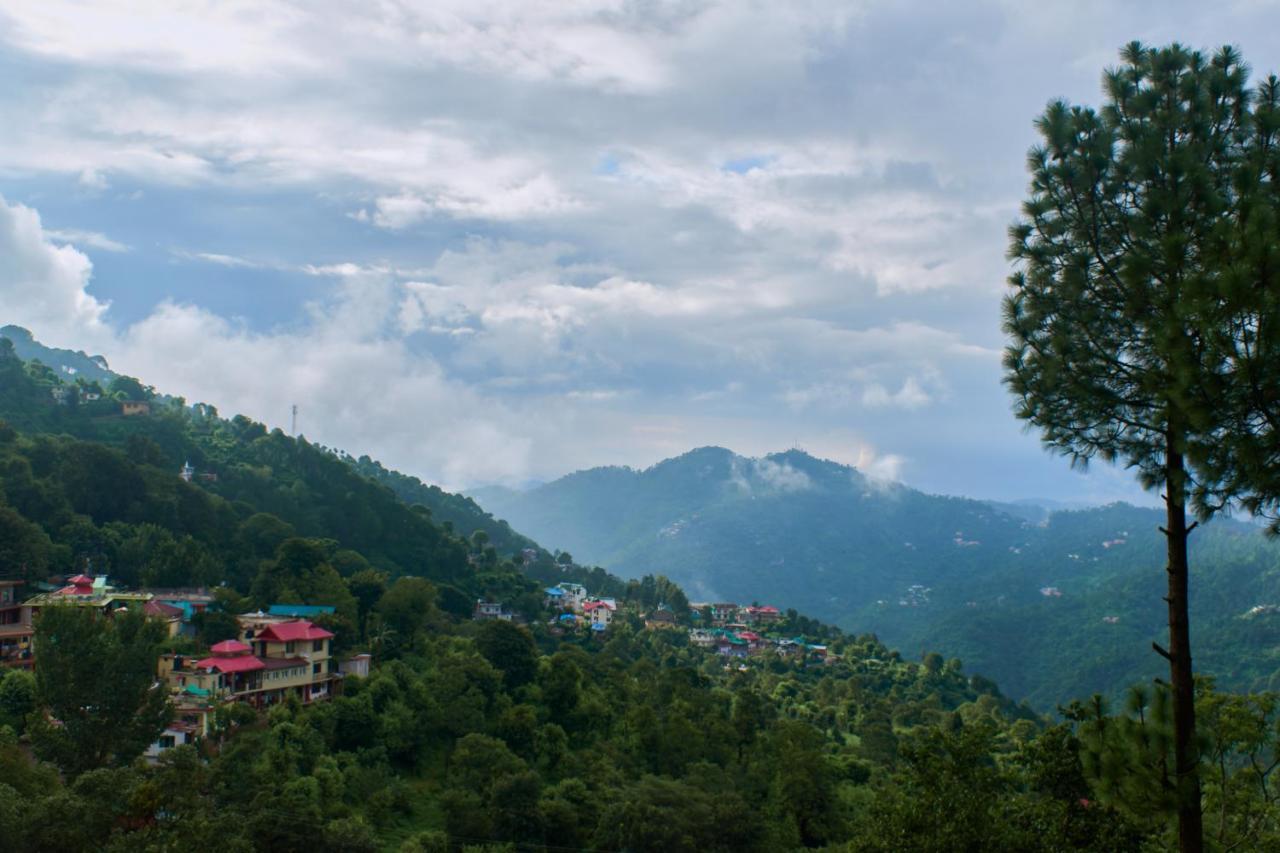 Sunrise View Homestay Kasauli Extérieur photo